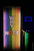 Why Not?, Leiria